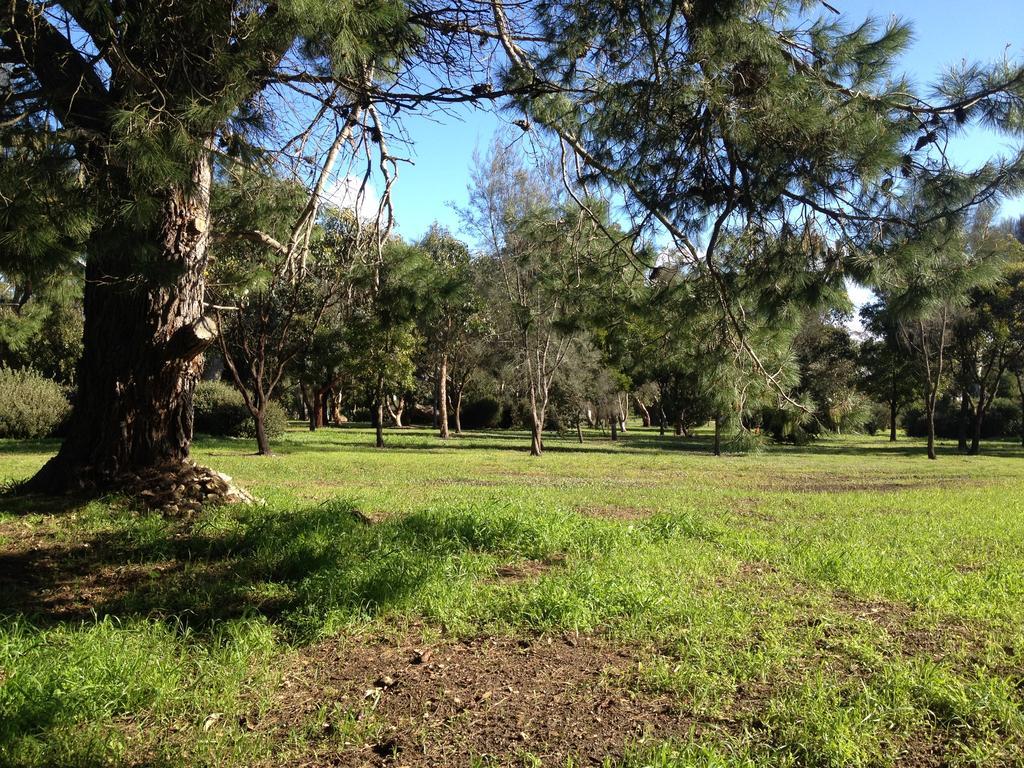 Hotel Millicent Lakeside Caravan Park Exterior foto